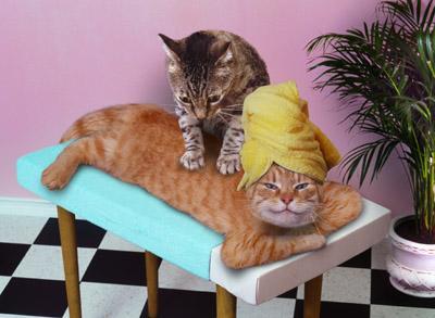 Funny Massage